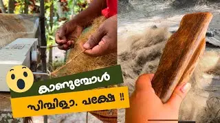 കയർ ഉണ്ടാക്കുന്നത് കാണാൻ പോയതാ | Coir making using coconut fibre