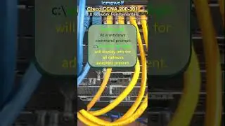 Cisco CCNA - What command shows displays DNS info? - icmpwolf 
