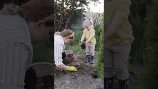 Опасность ГМО! О чем молчат садовые блогеры?