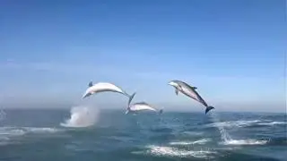 Angels of the seas and oceans 1  Ангели морів і океанів 1  Anjos dos mares e dos oceanos 1