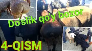 Jizzax DO'SLIK QO'Y BOZORI 🐏🐑