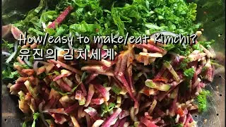 How/easy to make/eat Kimchi? 유진의 김치세계