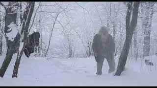 AT THE DOOR OF THE HOUSE WHO WILL COME KNOCKING / КОЈ ЌЕ ЗАТРОПА НА МОЈАТА ВРАТА