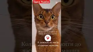 Мама и ее реакция на летающие мопеды 