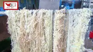 Unexpectedly, bananas also have an amazing textile talent, look at how banana fiber is extracted
