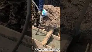 11 июня 2023 г.