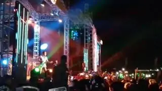 Wali brebes