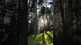 The Sun IS Sound ☀️⭐️🔊💫
