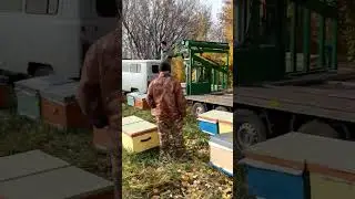 Кочевые пчеловоды с Алтая. Сезон 2022 закрыли. Перевозим пчёл домой. 