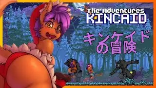 ✅The Adventures of Kincaid - キンケイドの冒険 D + Discord  ͡(^ ͜ʖ ͡^)