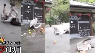 虫嬢さまの転倒集　【切り抜きオンエア】