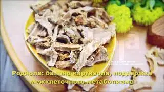 Видео про ELEV8   Официальное видео на русском языке   Best Bepic #Elev8 3