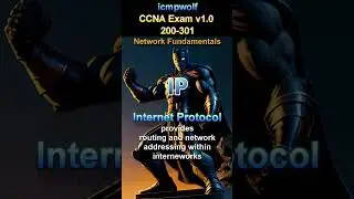 Cisco CCNA: What connectionless protocol for addressing and routing? - #icmpwolf #ciscoccna #ccna