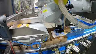 70572 BluePrint Automation (BPA) Case Packer Spider 300v