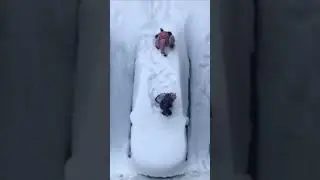 маленькие беспридельщики 🤣 соседский чат 
