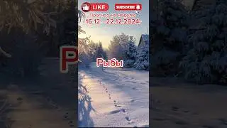 #рыбы