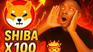 SHIBA INU : C'EST TA DERNIERE CHANCE DE VOIR LE PRIX DE SHIB A CE NIVEAU