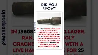 China's 25-Year Grenade Puzzle 🌰💣| #didyouknow #factsdaily #facts #shorts #ytshorts #GrenadeWalnut