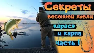 Secrets of catching crucian carp and carp on the lake! Feeder fishing 2021. Spinning fishing. Fis...