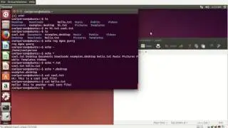 Managing Ubuntu: Using the Terminal