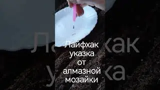 Лайфхак ПОСЕВ петунии 