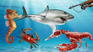 Oceanic Gegagedigedagedago sing | 5