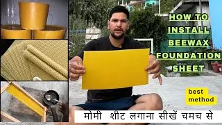 Wax Sheet Lagane Ka Aasan Tarika / Fix Wax Sheet In Bee Frame #viral #wax #beekeeping #bee #video