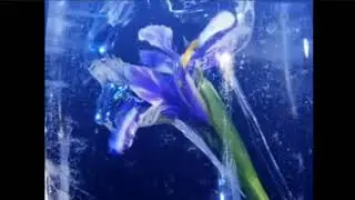 Звукозамена заставка 