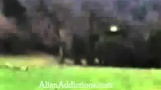 UFO In Devon, England - March 5th, 2011
