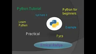 identity operator in python with example | Syit | Fycs | Python Tutorial | Lecture 11