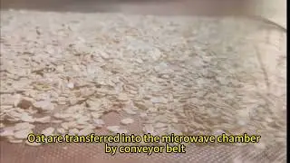How to roast oat ?---best choice: tunnel microwave machine