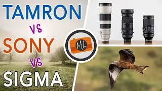 E-mount Tele Zoom Comparison for Wildlife - Sony 200-600mm vs Sigma 150-600mm vs Tamron 150-500mm