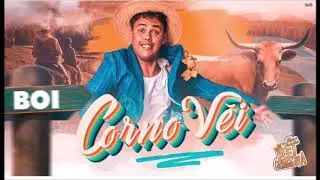 REI DA CACIMBINHA - CORNO VÉI - AUDIO OFICIAL