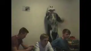 Harlem Shake (Birthday Edition)