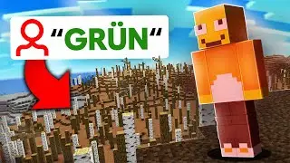 Minecraft, aber wenn Chat 