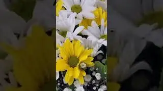 Anadolu ezgisi Hubyar Semahı
