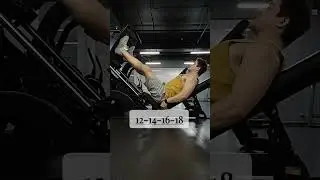 Квадріцепси. Вправи у тренажерному залі