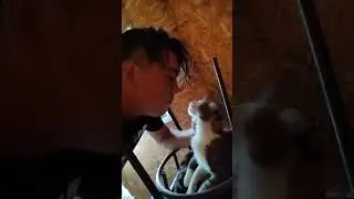 Соскучился по коту