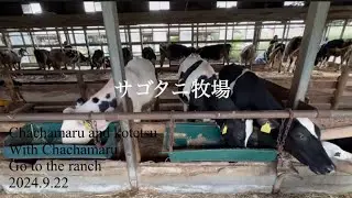 サゴタニ牧場(砂谷牧場)は最高の牧場でした！