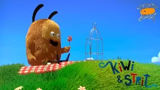 Питомец Киви • Kiwi & Strit! - 1 сезон