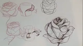 How to draw a rose