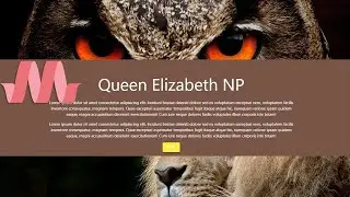 How to create Parallax Scrolling Effects using Materialize CSS