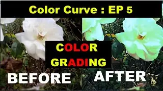 Curve Your Colors: Crafting Your Style in VideoPad