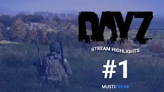 Mein Spiel ist abgestürtzt | Streaming Highlights #1 | DayZ | MustiFreak | w @DonFloTV