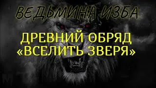 ДРЕВНИЙ ОБРЯД «ВСЕЛИТЬ ЗВЕРЯ»..ВЕДЬМИНА ИЗБА & Инга Хосроева