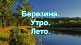 Березина  Утро  Лето