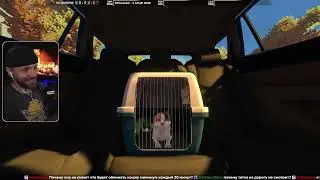 Copycat — Кыца у вредной бабки