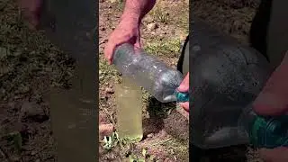 The girl creates an amazing filter to purify dirty water. 