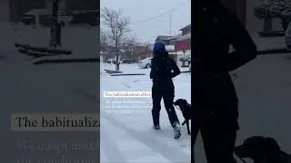 What are humans best at?