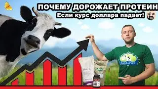 ПОЧЕМУ ДОРОЖАЕТ ПРОТЕИН если курс доллара падает?